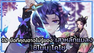 Kimetsu no Yaiba👺| 10 ข้อที่คุณอาจไม่รู้ของ 🦋 เสาหลักแมลง ชิโนบุ โคโช shinobu kocho