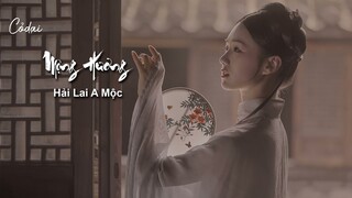 [Vietsub + Pinyin] Hải Lai A Mộc - Mộng Hương / 海来阿木 - 梦乡《DJ德朋版》