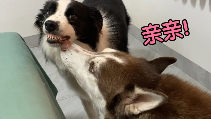 《Tình yêu dị dạng》