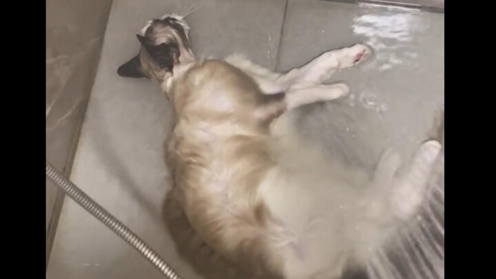 مستقر عاطفيًا لدرجة أنه أصبح مملًا بعض الشيء