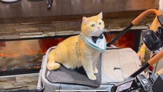 ดาราส้มทั่นหนึ่ง ไปงาน Pet Expo 2023