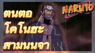 ต้นตอ โคโนฮะ สามนินจา