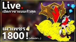 [Live] เปิดกาชาแบบรีบ วาเลนตี้ Mark2 1800เพชร!  | The Seven Deadly Sins: Grand Cross [7 บาป]