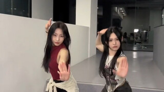 【染色体女团】最近的快乐是流苏人给的，一群美女非要神金兮兮的，姐儿几个给您拜年啦！