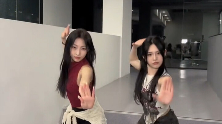 [Girl Group Kromosom] Kebahagiaan baru-baru ini dibawa oleh orang-orang Liusu. Sekelompok wanita can