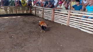 paskang Dagan bitaw🤣