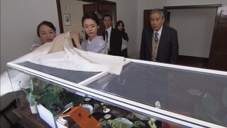 【宇哥】园艺师离奇失踪，家中饲养的昆虫却帮警方破了案！《SPEC-02》