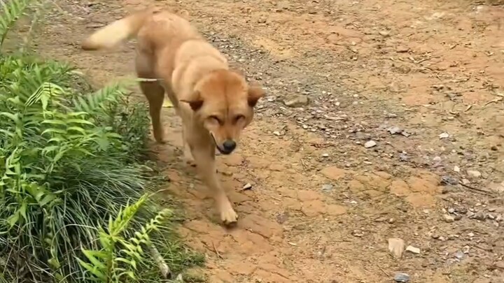 Every time I visit my grandma’s house, Big Yellow always greets me with a beaming smile.