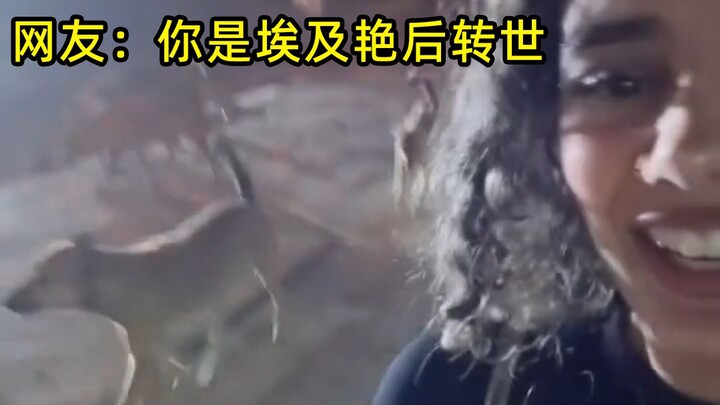 Một cô gái ở Ai Cập được một nhóm chó hoang địa phương hộ tống bảo vệ suốt chặng đường, cứ thấy đàn 