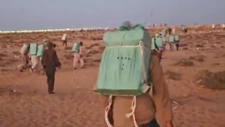 埃及阿拉伯人都开始行动了