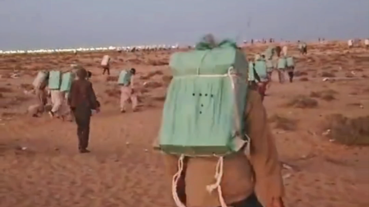 The Egyptian Arabs have begun to take action