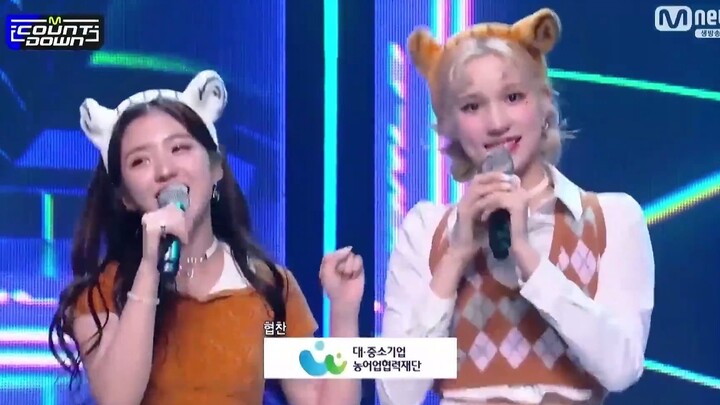 The Portuguese’s Perfect Synergy | How many years do you get for just locking eyes over there?