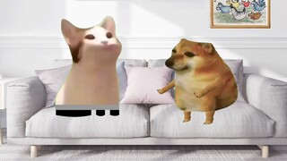 Does anyone know the correct answer?!