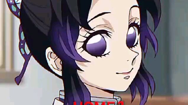 shinobu san