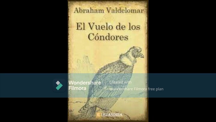 ANALISIS DEL LIBRO - "EL VUELO DE LOS CÓNDORES"