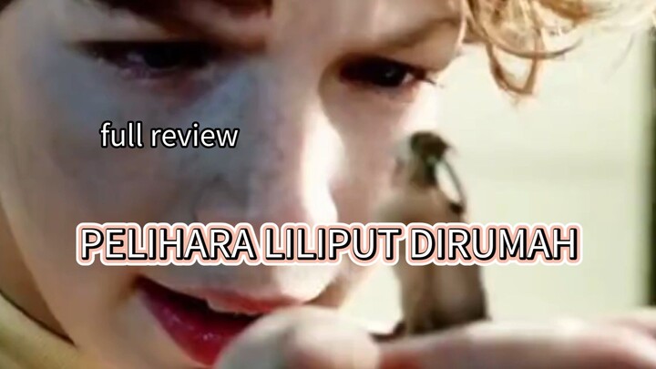 Full review, pelihara liliput dirumah 🔥🔥