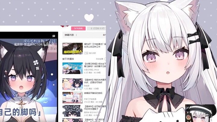 About the incident when Xia Nuoya was reverse-translated and her sister broke her guard and she beca