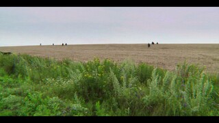 MH370 The.Plane.That.Disappeared.S01E02.720p.NF.WEBRip.x.mkv