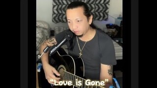 Love is Gone - Song Cover & Lyrics - Slander ft. Dylan Matthew,