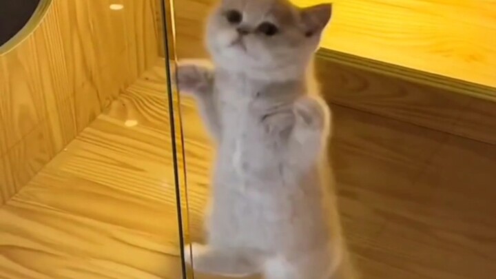 Dạo này mình bị bài hát này ám ảnh quá.