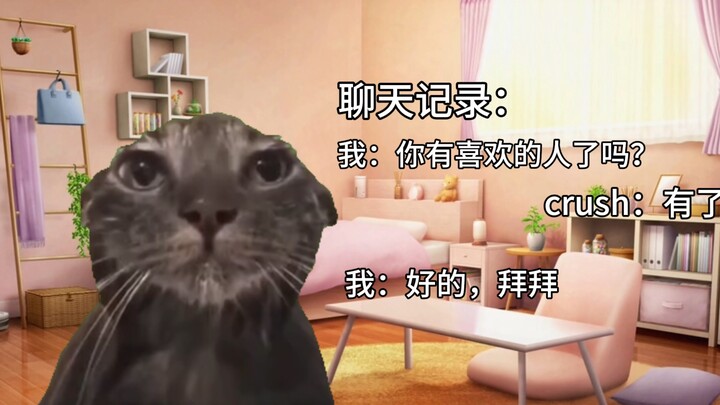 【Cat meme】About the time I confessed my feelings to the same person and was rejected twice when I fi