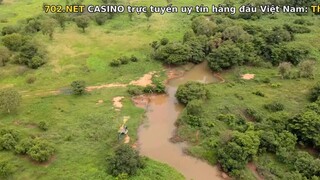 Lãnh địa cá sấu hoang EP 10 [Sub Việt]
