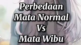 mata wibu VS mata normal