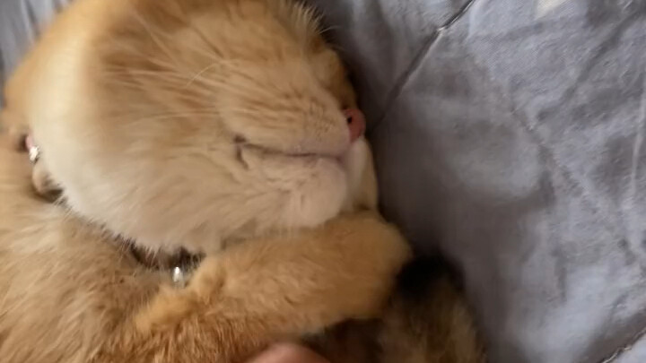 Ai giúp gọi mình dậy với, mình ngủ 48 tiếng rồi!