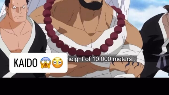 one piece