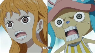 sanji di prank Tante Robin 🤣