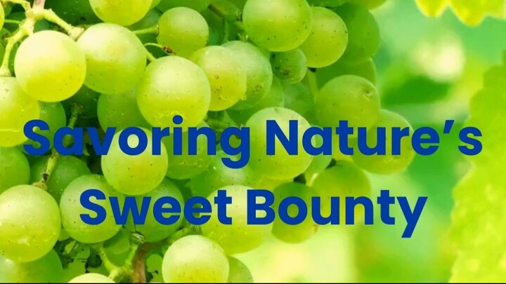 Savoring Nature’s Sweet Bounty