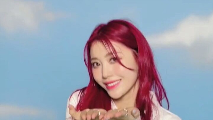 يوميات تيك توك لشين شياوتينغ، العاملة الكورية الجنوبية، مع زملائها في الفريق