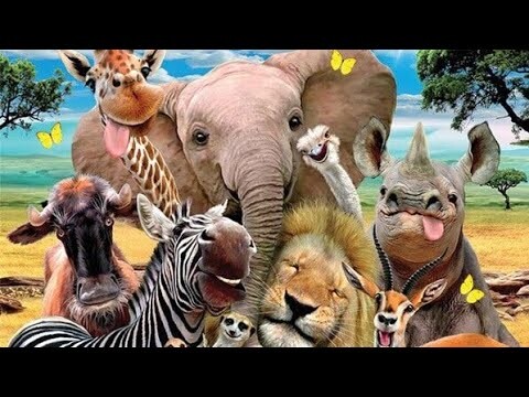 Funniest Animal 2024 😂 Funny pets videos try not to laugh | Best Funny Animal Videos 2024 |