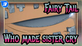 Fairy Tail|"Who made sister cry?!!!"_3