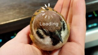 Bulu-bulu di telapak tangan yang sepenuhnya otomatis