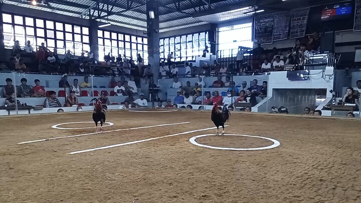 drt Hack figth win tayo mga boss dehado na naman .