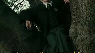 harry potter nhưng nó lạ lắm 😂