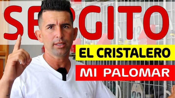 PALOMAR de SERGITO EL CRISTALERO