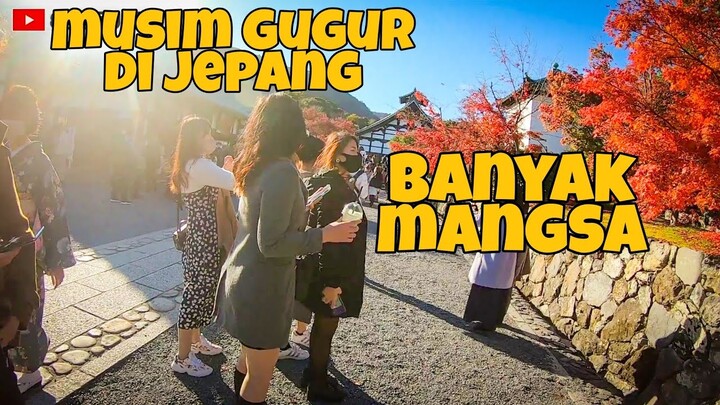 MUSIM GUGUR DI JEPANG BANYAK MANGSA. DI TEMPAT SYUTING ANIME BINGUNG PILIHNYA BRAYY