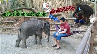 ตะวันจะเป็นเด็กดีจะไม่ดื้ออีกนะครับพ่อ555เด็กดีแค่3วินะ555🤣😂😇🤒🤕