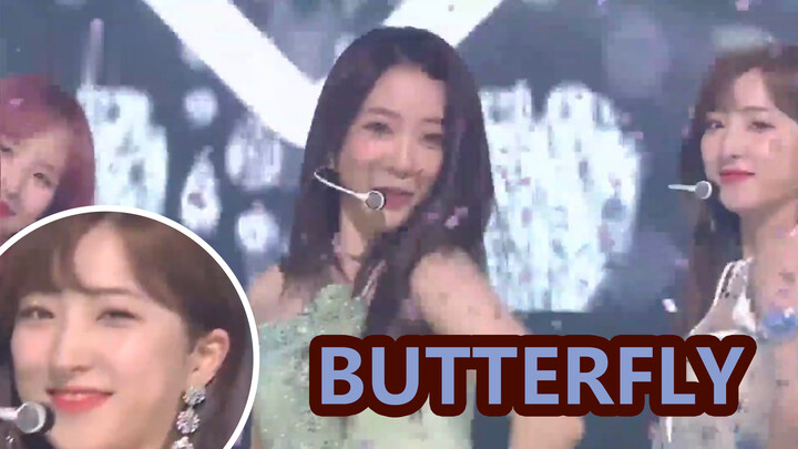 [อินกีกาโย] คอสมิกเกิลส์เพลง 'BUTTERFLY'