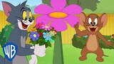 Tom & Jerry in italiano 🇮🇹 | La stagione dei fiori | WB Kids