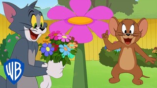 Tom und Jerry auf Deutsch 🇩🇪 | Blumenzeit | WB Kids