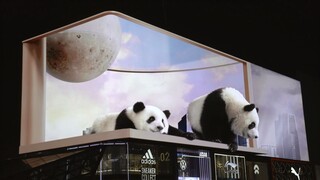 成都太古里惊现裸眼3D熊猫🐼