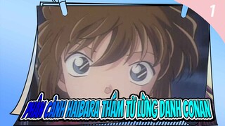 Phân cảnh Haibara Thám tử lừng danh Conan_1