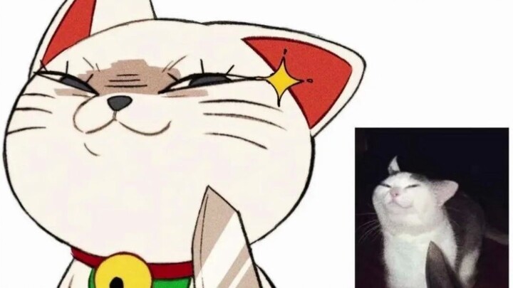 Gambar meme dari luar negeri untuk para pemberani 5