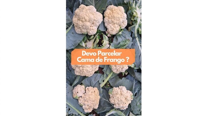Devo Parcelar o Adubo Cama de Frango na Couve Flor?