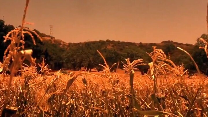 JEEPERS CREEPERS 2 (2003) โฉบกระชากหัว 2