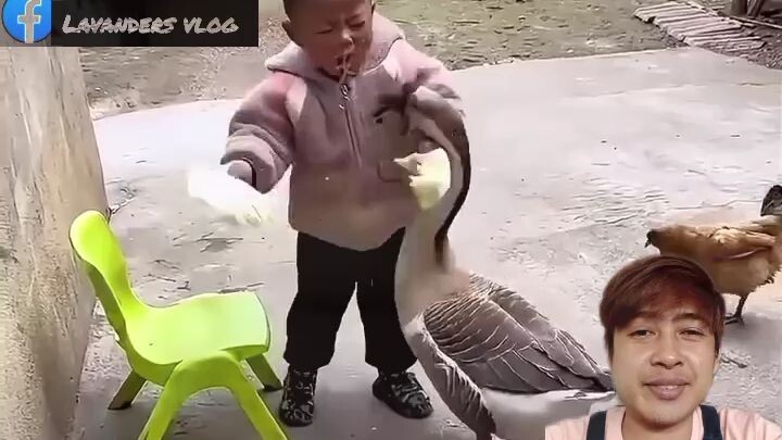 #baby vs duck😂😂😂