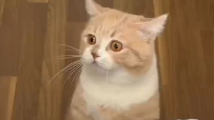 My goodness, fate is playing tricks on this big glutton!